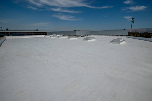 Best Commercial Roofing Services  in East Dubuque, IL