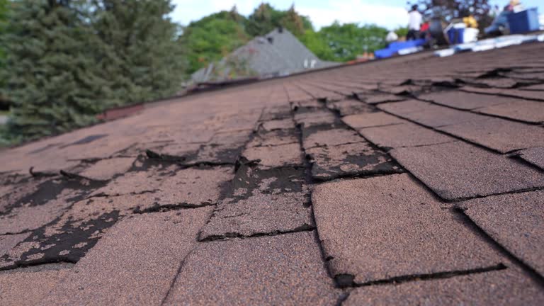 Best Cold Roofs  in East Dubuque, IL