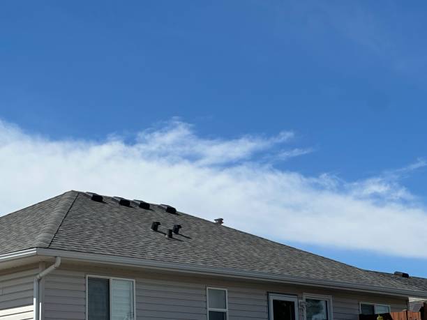 Best Asphalt Shingle Roofing  in East Dubuque, IL